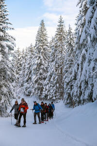 Passage sur piste Passage sur piste