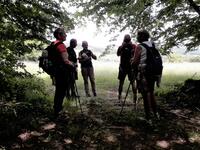 vue sur Cluny vue sur Cluny