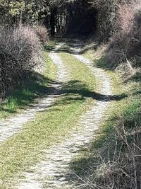 Sur les Chemin du Tournugeois Sur les Chemin du Tournugeois