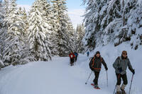 Aprés le pique nique Aprés le pique nique