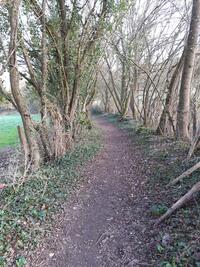 Chemin Creux Chemin Creux