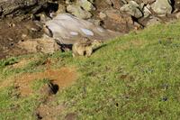 Au revoir et travailles bien l'hiver sera rude Au revoir et travailles bien l'hiver sera rude