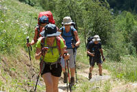 le groupe s'étire dans la montée le groupe s'étire dans la montée